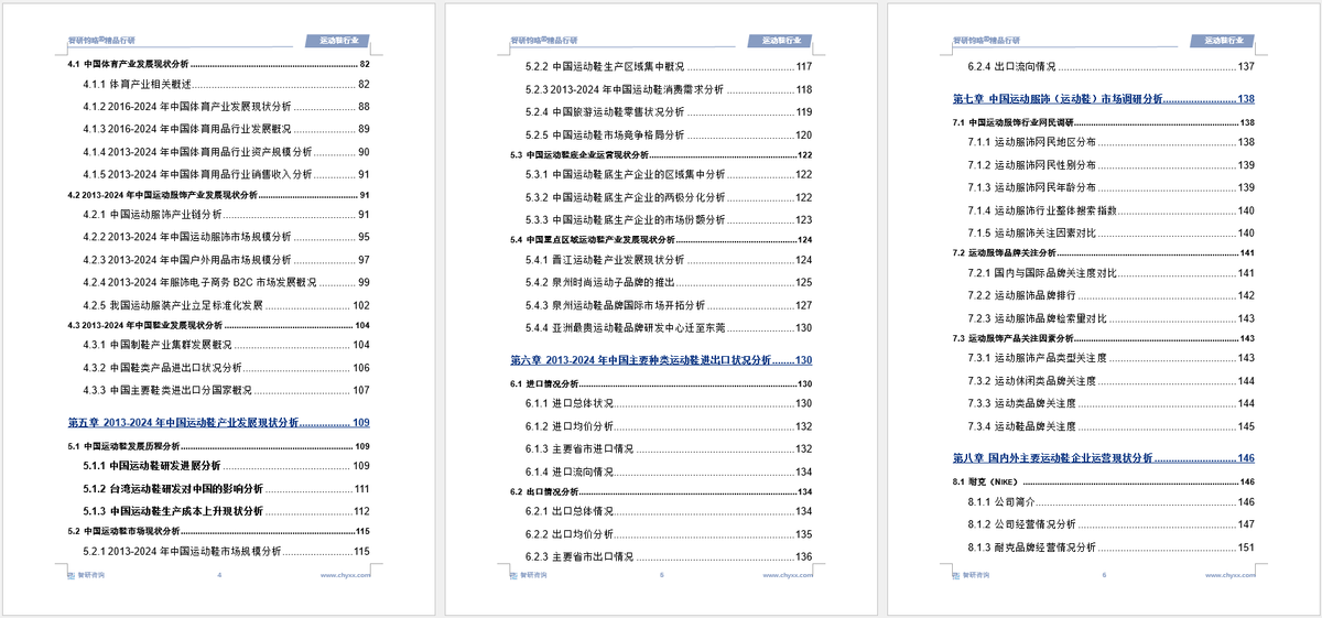 及投资前景研究报告（2025-2031年）Bsports综合中国运动鞋行业发展现状(图4)